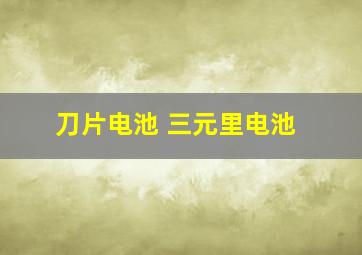 刀片电池 三元里电池